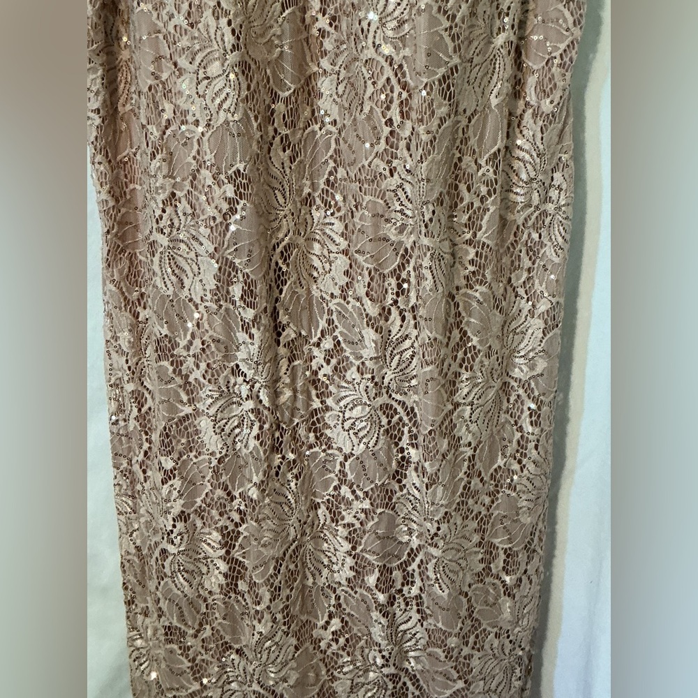 Roz & Ali Blush Lace Sequin Midi Dress - Picture 4 of 8